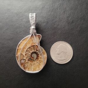 Fossil Shell Pendant with Silver Wire Wrap